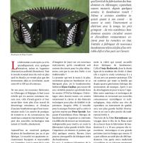 Article sur le bandonéon (5) paru dans la revue Tout Tango n° 13 Octobre-Novembre-Décembre 2007 - 1ère page